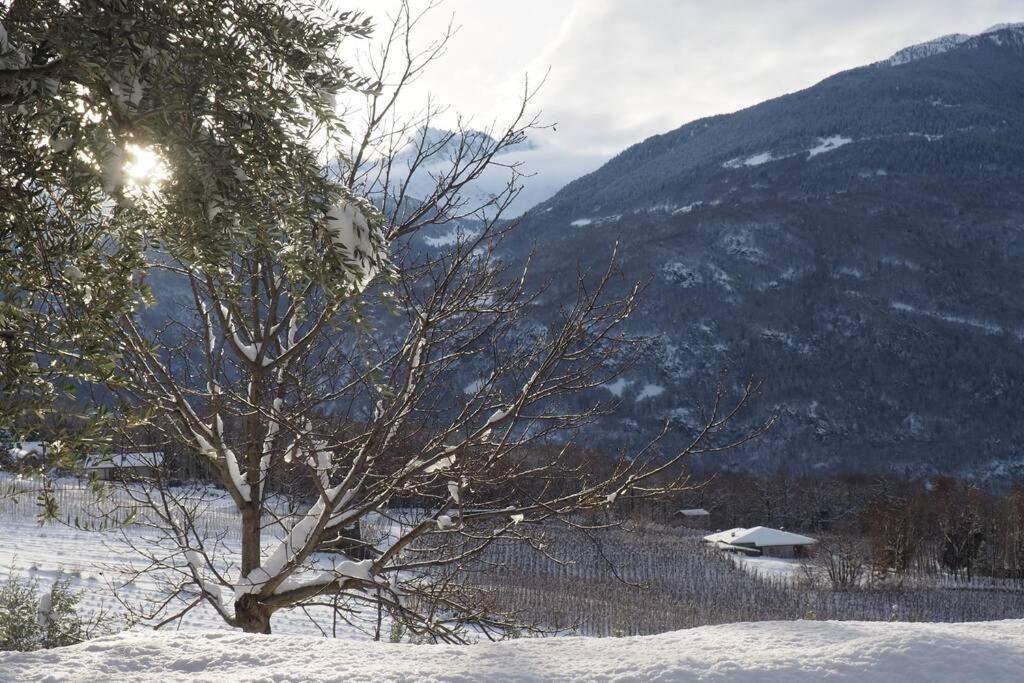fantastica villa fra le Alpi valtellinesi Tresivio Eksteriør bilde