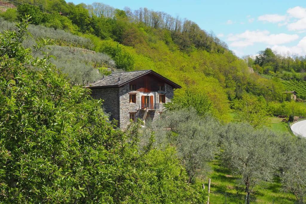 fantastica villa fra le Alpi valtellinesi Tresivio Eksteriør bilde